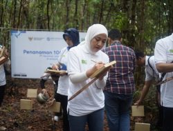 Jasaraharja Putera Tanam 100 Pohon P1.elepak di Belitung, Perkuat Komitmen ESG dan Pariwisata Hijau