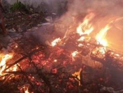 DLH DKI Siapkan Sanksi Sosial: Wajah Pelaku Pembakaran Sampah Akan Ditayangkan di Medsos