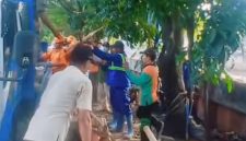 Puluhan Bangli dan lapak Pedagang Kaki Lima (PKL) yang berdiri di sepanjang bantaran Kali Cengkareng Drain, Jalan Kembangan Baru, Kelurahan Kembangan Utara, ditertibkan (Foto.Istw)