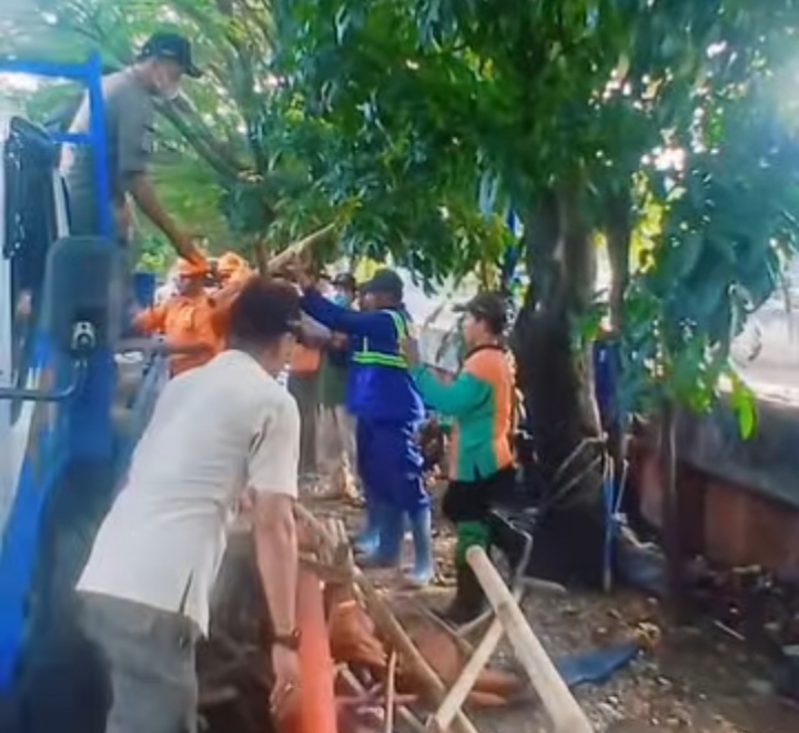 Puluhan Bangli dan lapak Pedagang Kaki Lima (PKL) yang berdiri di sepanjang bantaran Kali Cengkareng Drain, Jalan Kembangan Baru, Kelurahan Kembangan Utara, ditertibkan (Foto.Istw)