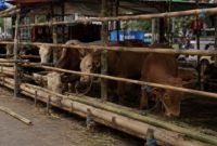 Pedagang hewan kurban dilarang berjualan di fasos dan fasum