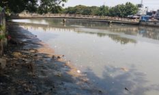 Sedimen Lumpur di Kali Cengkareng Drain Kian Tinggi, Warga Kapuk Berharap Dilakukan Pengerukan