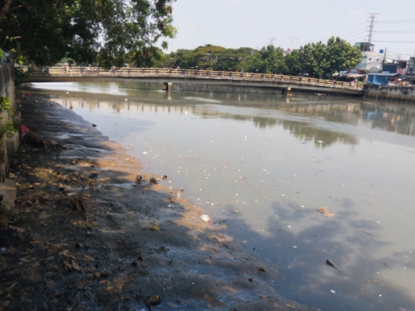 Kondisi kali Cengkareng di kawasan kapuk yang di penuhi sedimen lumpur 