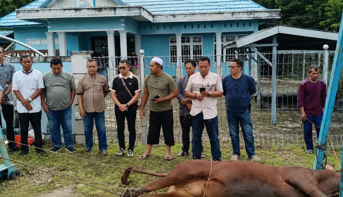 KSOP Pulang Pisau Tebar Keberkahan Idul Adha melalui Penyembelihan Hewan Kurban