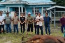 KSOP Pulang Pisau Tebar Keberkahan Idul Adha melalui Penyembelihan Hewan Kurban