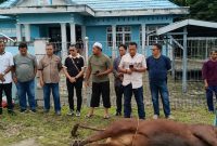 KSOP Pulang Pisau Tebar Keberkahan Idul Adha melalui Penyembelihan Hewan Kurban