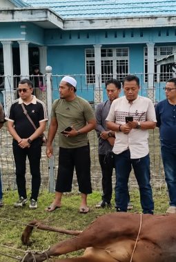 KSOP Pulang Pisau Sembelih 2 Sapi dan 3 Kambing pada Idul Adha 1447 H