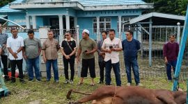 KSOP Pulang Pisau Tebar Keberkahan Idul Adha melalui Penyembelihan Hewan Kurban