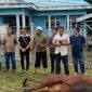 KSOP Pulang Pisau Tebar Keberkahan Idul Adha melalui Penyembelihan Hewan Kurban