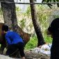 Foto istimewa proses penyembelihan hewan  kurban 