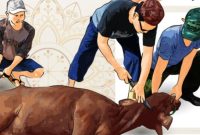 Ilustrasi penyembelihan hewan kurban (Foto.Istw)