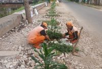 Foto Istimewa PPSU kembangan Utara membuat lahan hijau dengan menanam tanaman hias