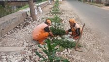 Foto Istimewa PPSU kembangan Utara membuat lahan hijau dengan menanam tanaman hias