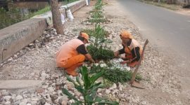 Foto Istimewa PPSU kembangan Utara membuat lahan hijau dengan menanam tanaman hias