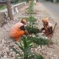 Foto Istimewa PPSU kembangan Utara membuat lahan hijau dengan menanam tanaman hias