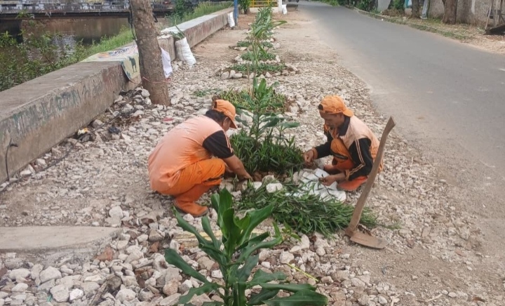 Foto Istimewa PPSU kembangan Utara membuat lahan hijau dengan menanam tanaman hias