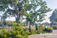 Kolaborasi Kelurahan Kapuk dan Sudis Tamhut Jakarta Barat Lakukan Penopingan, Pengerukan Sedimen Kali Cengkareng Drain oleh SDA Segera Dimulai
