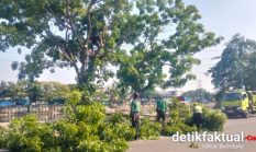 Sudis Tamhut Lakukan Penopingan di Jalan Kali Baru Timur, SDA Segara Keruk Kali Cengkareng Drain