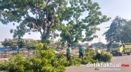 Kolaborasi Kelurahan Kapuk dan Sudis Tamhut Jakarta Barat Lakukan Penopingan, Pengerukan Sedimen Kali Cengkareng Drain oleh SDA Segera Dimulai